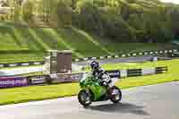 Lower Group Green Bikes